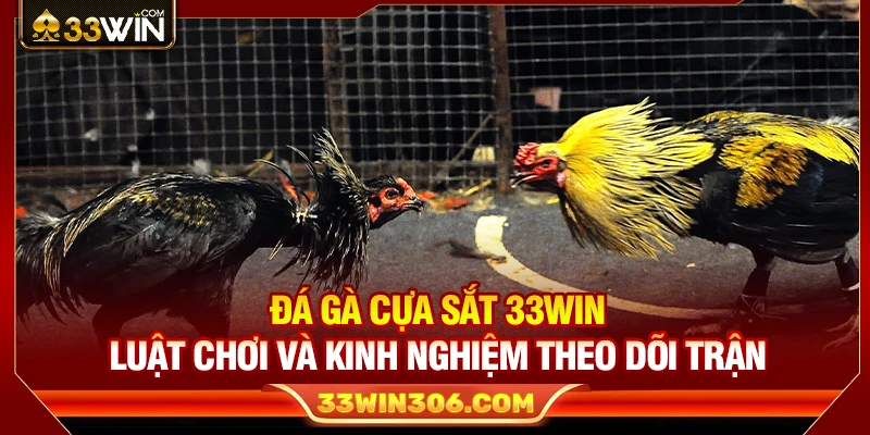 Đá Gà Cựa Sắt 33WIN – Luật Chơi Và Kinh Nghiệm Theo Dõi Trận
